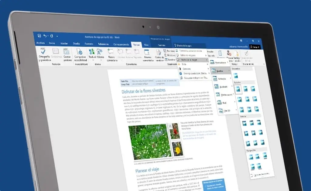 Microsoft word bureautique